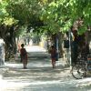 Strada ombreggiata da alberi con persone in costume da bagno che camminano.