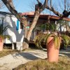Casa mobile con veranda e piante in vasi grandi.