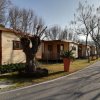 Bungalows in legno lungo un sentiero alberato.