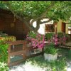 Veranda fiorita con piante e tavolo sotto un albero.