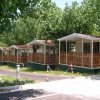 Casette prefabbricate allineate tra gli alberi.