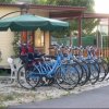 Schiera di biciclette blu sotto un ombrellone verde.