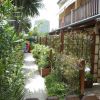 Percorso giardino stretto con siepi e pannelli divisori vicino a un edificio.