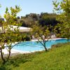 Piscina circondata da vegetazione e alberi, sedie a sdraio e un cielo sereno.