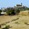 Un borgo collinare con case antiche e una chiesa, circondato da alberi e campi.