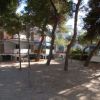 Un cortile alberato con case sullo sfondo.
