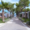 Viale alberato con villette ai lati e vista sul mare.