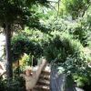 Giardino con scale avvolte da vegetazione lussureggiante.
